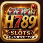 H789 Game